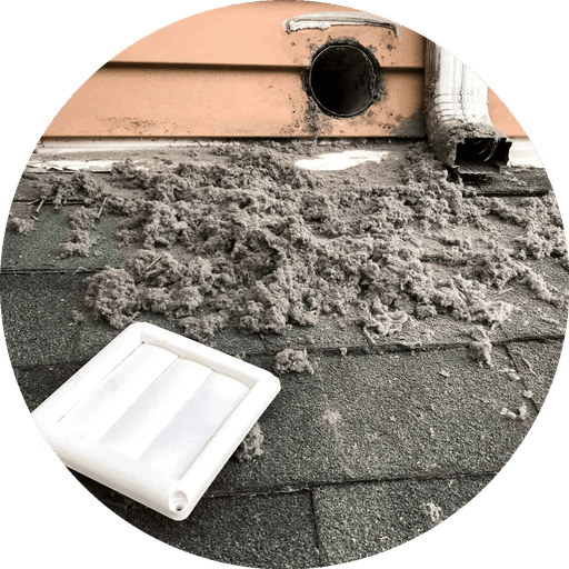 Laundry ventilation cleaning